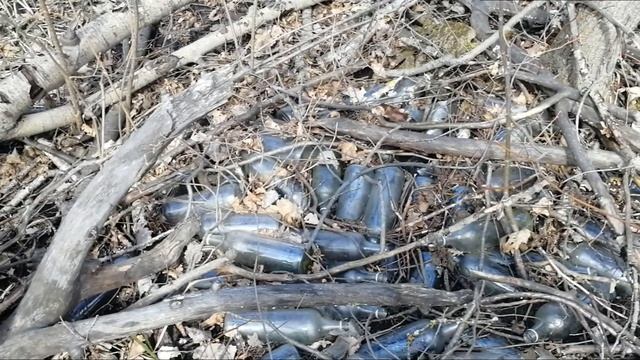 Грибная разведка и не только.