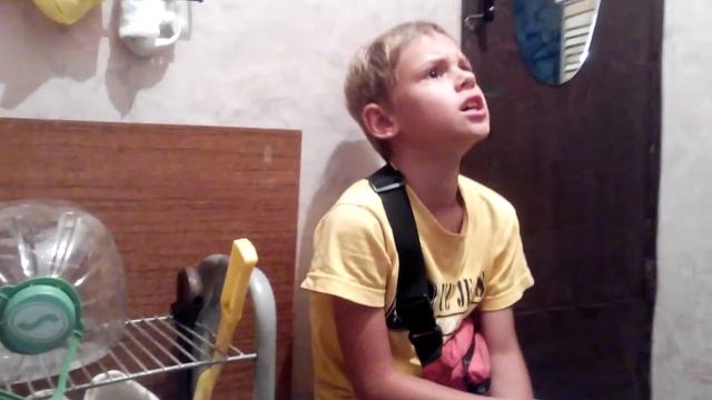 Эл и скутер: диалог, аргументы