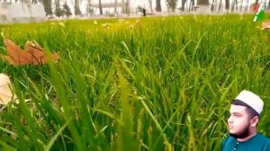 Мавлуд бо овози зинда точики