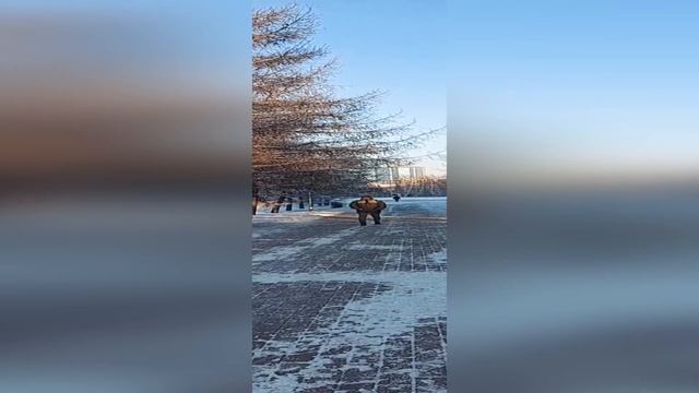 Кринженеры Walk смотреть онлайн