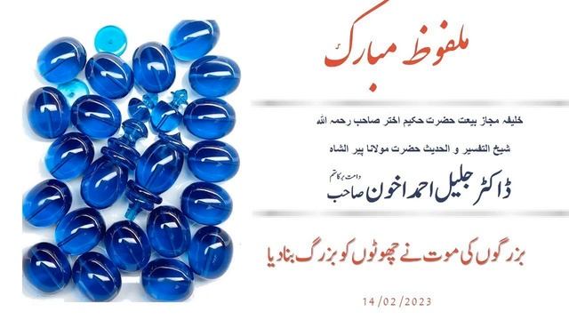Hazrat Maulana Dr. Jalil Ahmad Akhoon: بزرگوں کی موت نے چھوٹوں کو بزرگ بنا دیا смотреть онлайн