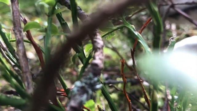 Мой фильм 16 смотреть онлайн