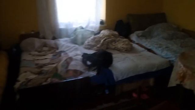 Условия проживания в Польше 2016 на сборе клубники и малины