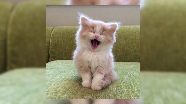 Unknow - Lay Bankz Ick