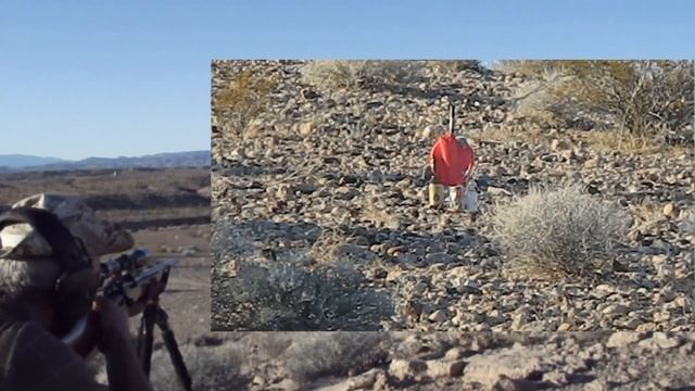 Spanish Mauser 7.62 hits plate at *352* yards & Saiga 308 blows cans away смотреть онлайн