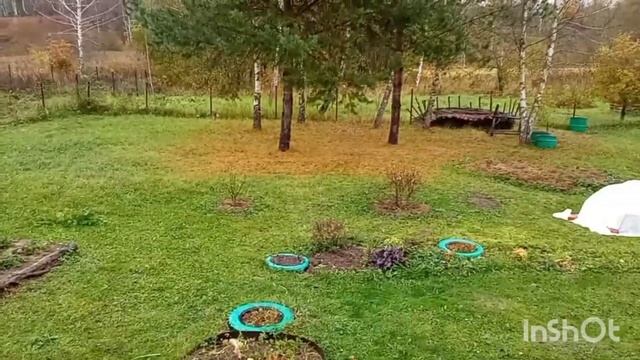 Название: Дачный сезон закрыт. Еду в Москву. 08.10.23.