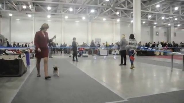 россия 2 2015 047 смотреть онлайн