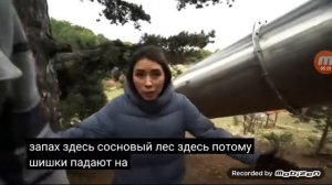 Горка пожератель смотреть на ютубе Алоя вера