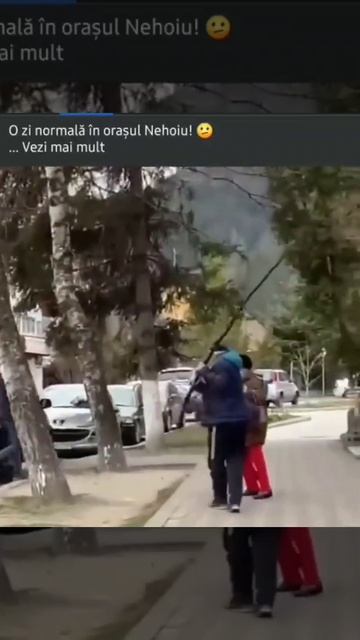 Femeie atacată de caine смотреть онлайн