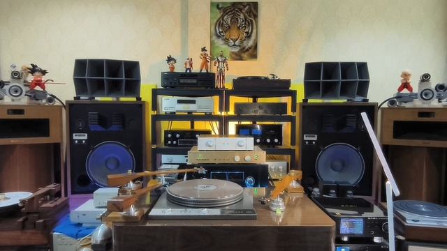 Coral M-100 Speaker System Fine Tune