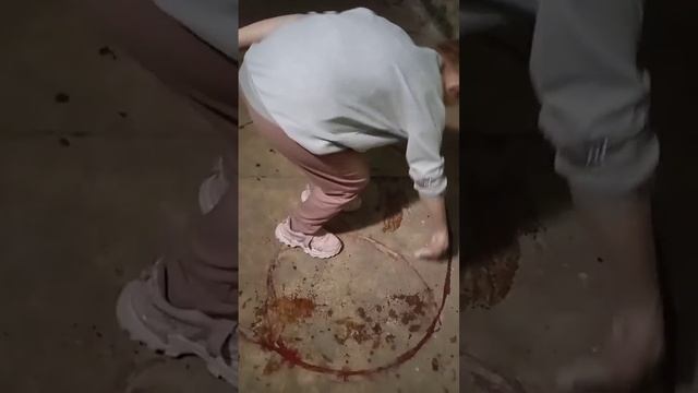 ♠хозяину леса♦ смотреть онлайн