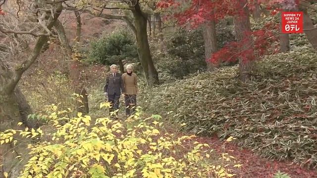 Emperor Emeritus Akihito turns 89 смотреть онлайн