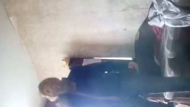 Грибы-Тает Лёд(Пародия)