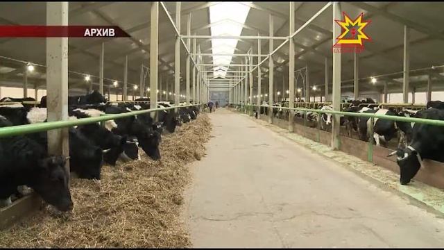 Сĕт хакĕ пăшăрхантарать смотреть онлайн