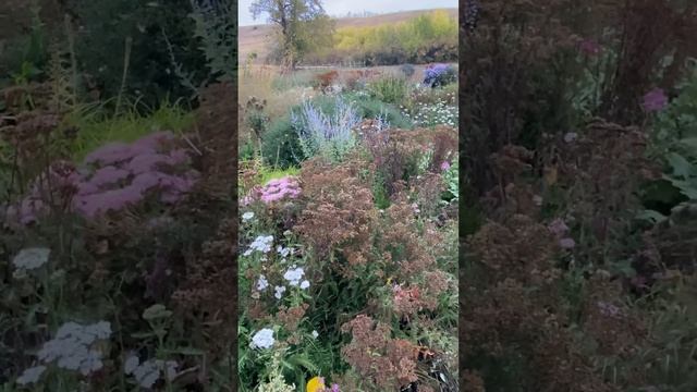 21 сентября цветники смотреть онлайн