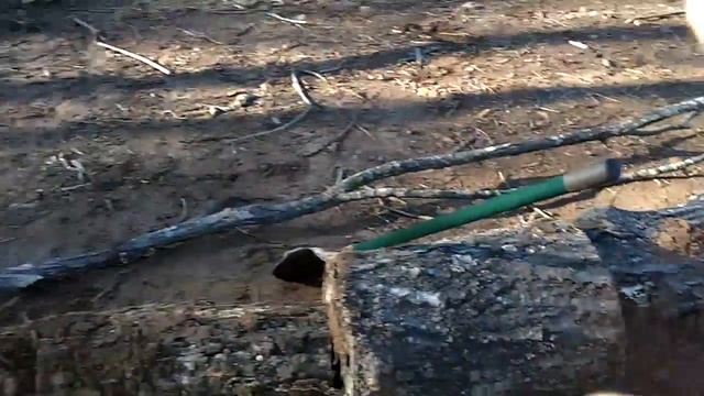 Hugelkultur Update Jan. 2013 - Swales, Seeds and Oyster Mushrooms!