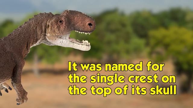 Safari Ltd Wild Safari Dinosaurs Monolophosaurus смотреть онлайн