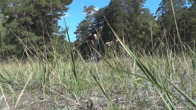 Пётр Сотник.Мой посёлок .поделись хорошим настроением и 100ник вернёт тебе вдвойне. смотреть онлайн