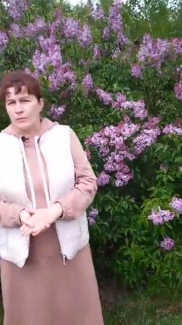 Что Лечит СИРЕНЬ? Применение Сирени в Народной Медицине смотреть онлайн