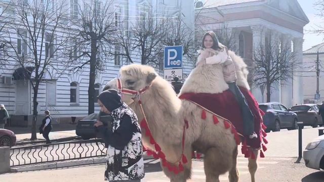Впервые на верблюде катаюсь в парке. смотреть онлайн