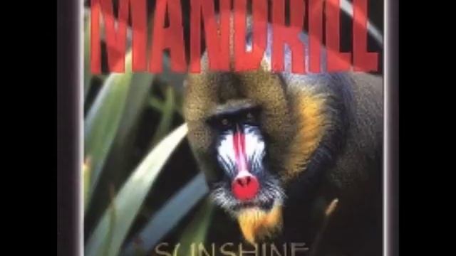Mandrill - Sunshine смотреть онлайн