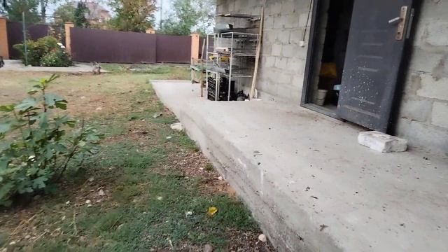 Новый день начинается с птицы и кофе❤️🌹 смотреть онлайн