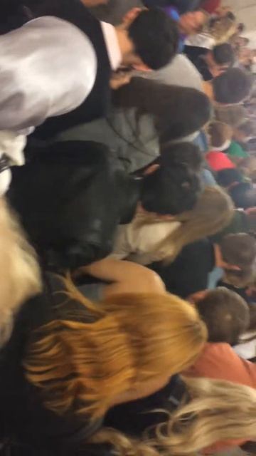 Метро проспект мира смотреть онлайн