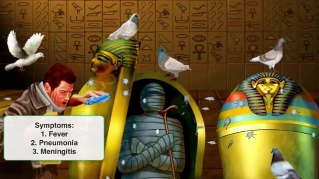 Cryptococcus neoformans смотреть онлайн