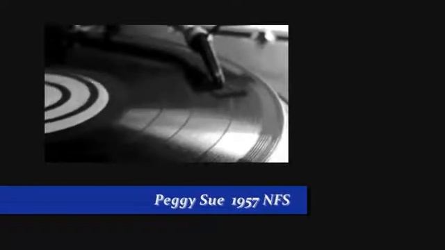 REMINISCING WITH..... THE PLATTERS BUDDY HOLLY MATT MONRO смотреть онлайн