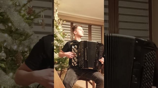 Accordion Scandalli KROKODYL GIENA смотреть онлайн
