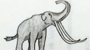 Stegodon sounds effects