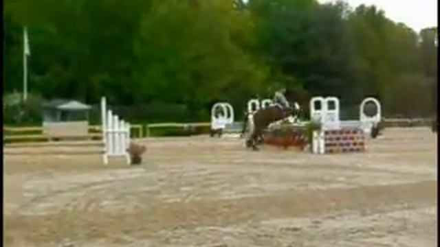 Old Salem Horse Show for Jamie смотреть онлайн