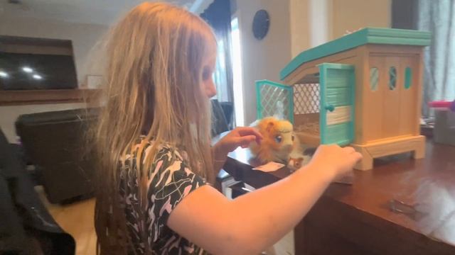 Freya's Birthday Present: Little Live Pets Mama Surprise смотреть онлайн