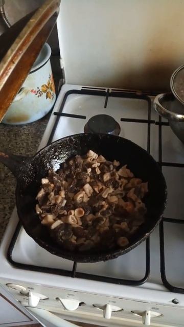 Стреляющие грибы - сморчковая шапочка. смотреть онлайн