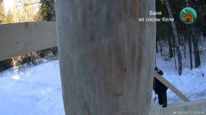Установка вертикальной стойки, в диком лесу, без техники с помощью лебедки. Стройка часть 1