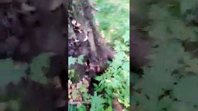 Дух захватило! Сколько работы! смотреть онлайн