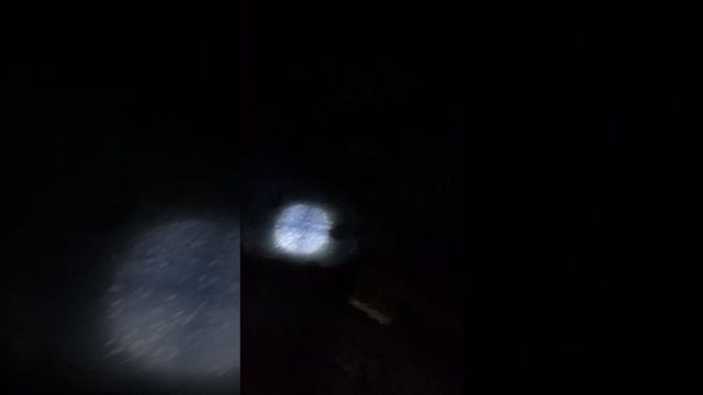 Охота с лайкой.Охота на пушніну.Взяли два єнота смотреть онлайн