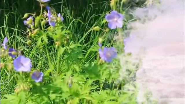 Сюжет . Для себя .