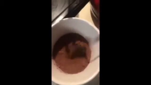 Peanut Butter Chocolate Truffle смотреть онлайн