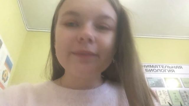 VLOG:иду в школу. Купили нового хомяка смотреть онлайн