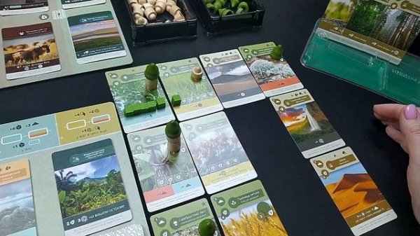 🌏🌿 Земля / Соло игра