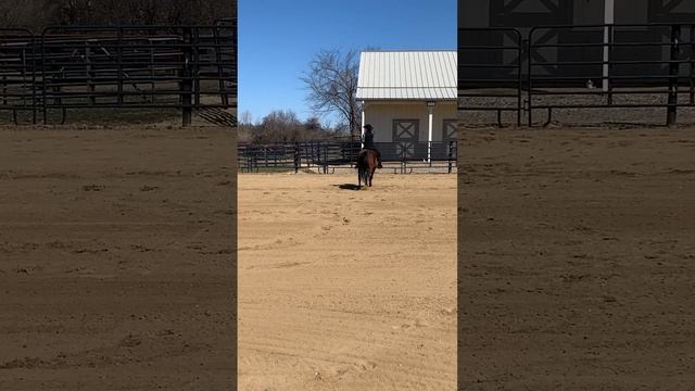 OHSA Ranch Trail - Anne Wood and Nicci Tikki Tari смотреть онлайн