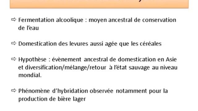 Antoine Branca - Histoire et diversité des champignons domestiqués смотреть онлайн