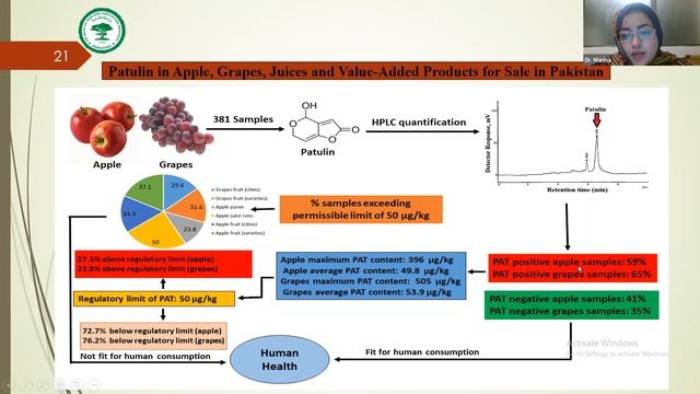 (Seminar 50) Mycontox Patulin Worldwide Occurrence and Control Strategies смотреть онлайн