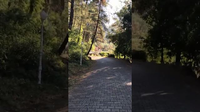 Akyaka Muğla :) смотреть онлайн