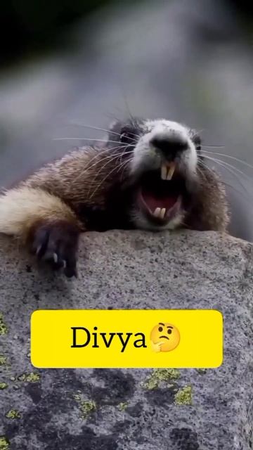 5 April 2023 смотреть онлайн