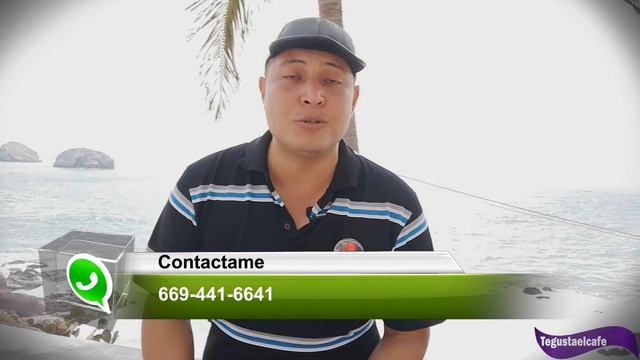 DXN | Como ayuda el Ganoderma en várices | Venas | Circulación смотреть онлайн