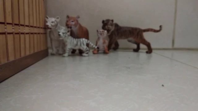 Информация для ( лайки зе шляйх) и моя коллекция диких кошек + 3 новинки смотреть онлайн