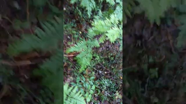 Сезонная работа в Финляндии/Suomi Work 2016