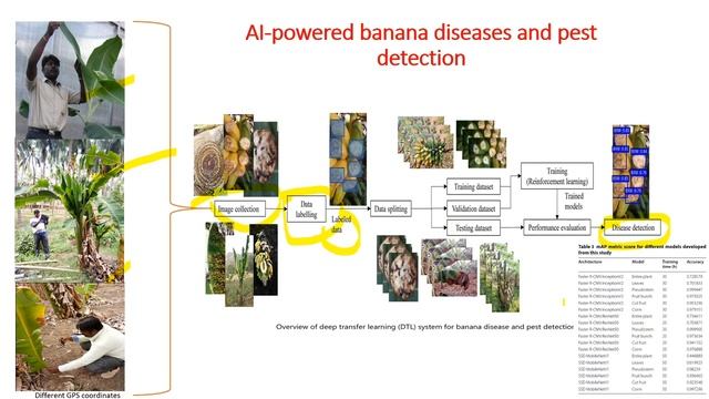 Application of AI technology in Agriculture as a example Banana AI app (Tumaini) By Dr.S.Elayabala смотреть онлайн